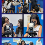 LABORATÓRIO – COLÉGIO VESPER RESSURREIÇÃO TAQUARA